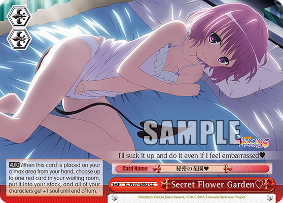 Secret Flower Garden?